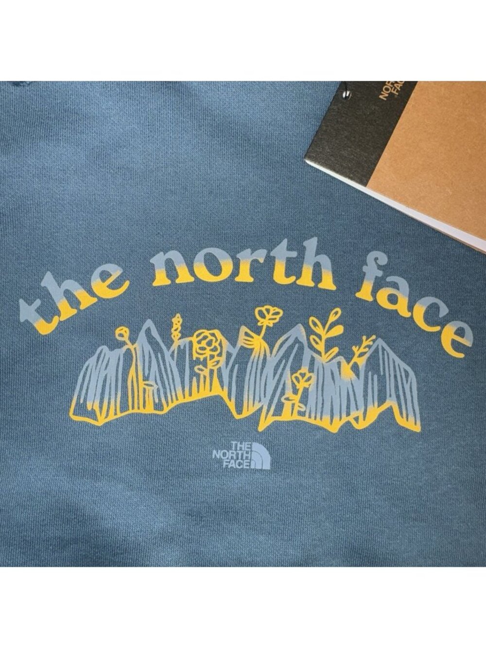 North Face Women’s Evolution Retro Growth Hoodie Flowers Sweatshirt NEW